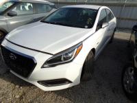 https://www.towlot.com/carimages/29673/20250824/100_0216_thumb.JPG