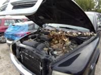 https://www.towlot.com/carimages/29673/20251003/100_1090_thumb.JPG