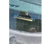 https://www.towlot.com/carimages/37758/20250716/1999HondaCivic7526IMG_5458_thumb.jpeg